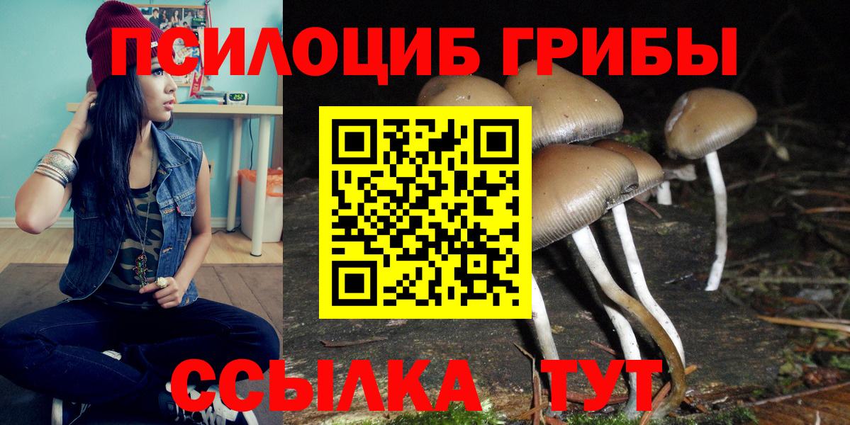 Галлюциногенные грибы Psilocybe  Галлюциногенные грибы Psilocybine cubensis  Вход с VPN  Красногорск 