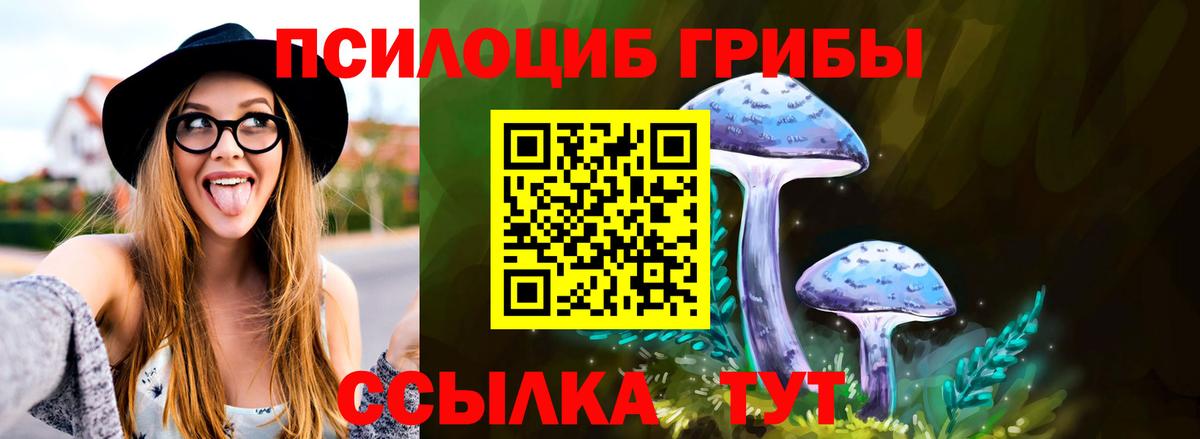 Галлюциногенные грибы Psilocybine cubensis Красногорск